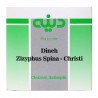 Zizyphus Spina
